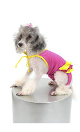 8343 Up Collection by Carla Cappalli