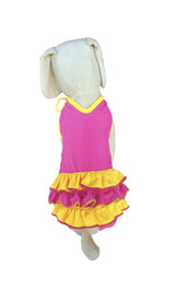 8343 Up Collection by Carla Cappalli