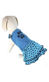 8407 Up Collection by Carla Cappalli