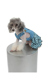 8407 Up Collection by Carla Cappalli