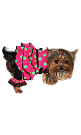 8475 Up Collection by Carla Cappalli