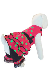 8475 Up Collection by Carla Cappalli