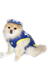 8494 Up Collection by Carla Cappalli