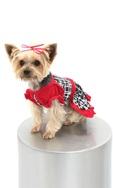 8571 Up Collection by Carla Cappalli