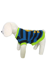 8579 Up Collection by Carla Cappalli