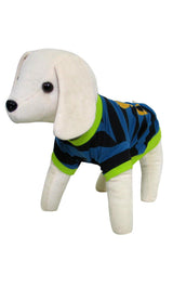 8579 Up Collection by Carla Cappalli