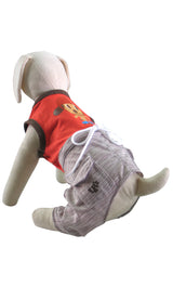 8636 Up Collection by Carla Cappalli