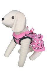 8653 Up Collection by Carla Cappalli