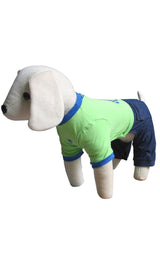 8659 Up Collection by Carla Cappalli