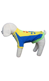 8662 Up Collection by Carla Cappalli