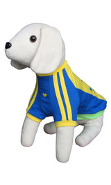 8662 Up Collection by Carla Cappalli