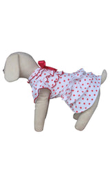 8704 Up Collection by Carla Cappalli