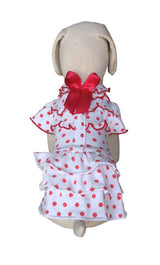 8704 Up Collection by Carla Cappalli