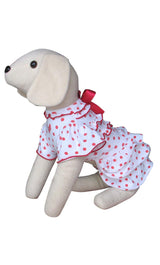 8704 Up Collection by Carla Cappalli