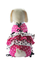 8721 Up Collection by Carla Cappalli