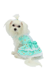 8761 Up Collection by Carla Cappalli