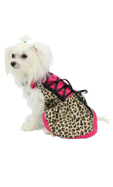 8766 Up Collection by Carla Cappalli