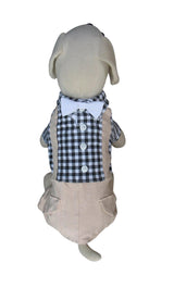 8775 Up Collection by Carla Cappalli