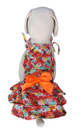 8779 Up Collection by Carla Cappalli