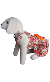 8779 Up Collection by Carla Cappalli