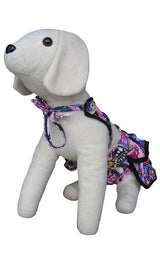 8789 Up Collection by Carla Cappalli