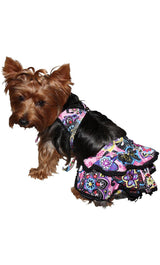 8789 Up Collection by Carla Cappalli