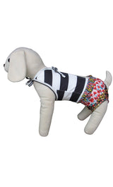 8793 Up Collection by Carla Cappalli