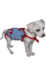 8795 Up Collection by Carla Cappalli