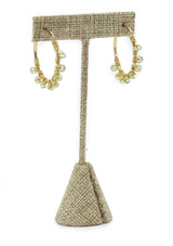 1089 Pantallas Argollas Medianas