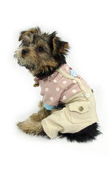 8400 Up Collection by Carla Cappalli