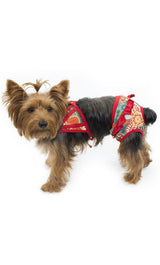 8798 Up Collection by Carla Cappalli