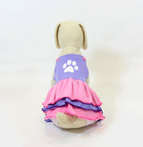 8613 Up Collection by Carla Cappalli