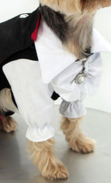 8258 Up Collection by Carla Cappalli