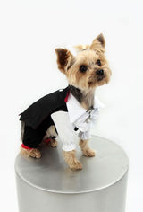 8258 Up Collection by Carla Cappalli