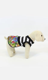 8607 Up Collection by Carla Cappalli