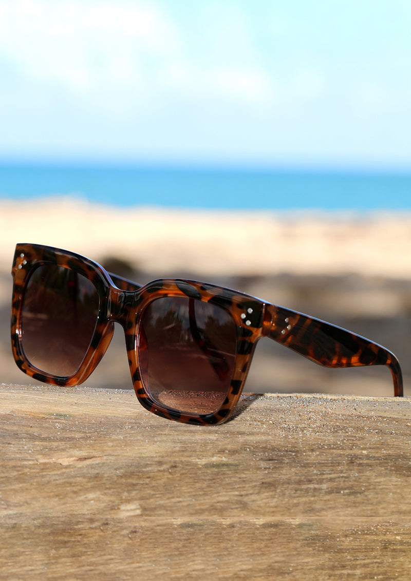 6600 Gafas de Sol