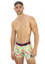 4034 Fruits Boxer Brief Long Hybrid by HN - Pompis Stores