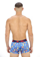 4042 Flash Boxer Brief Classic by HN - Pompis Stores