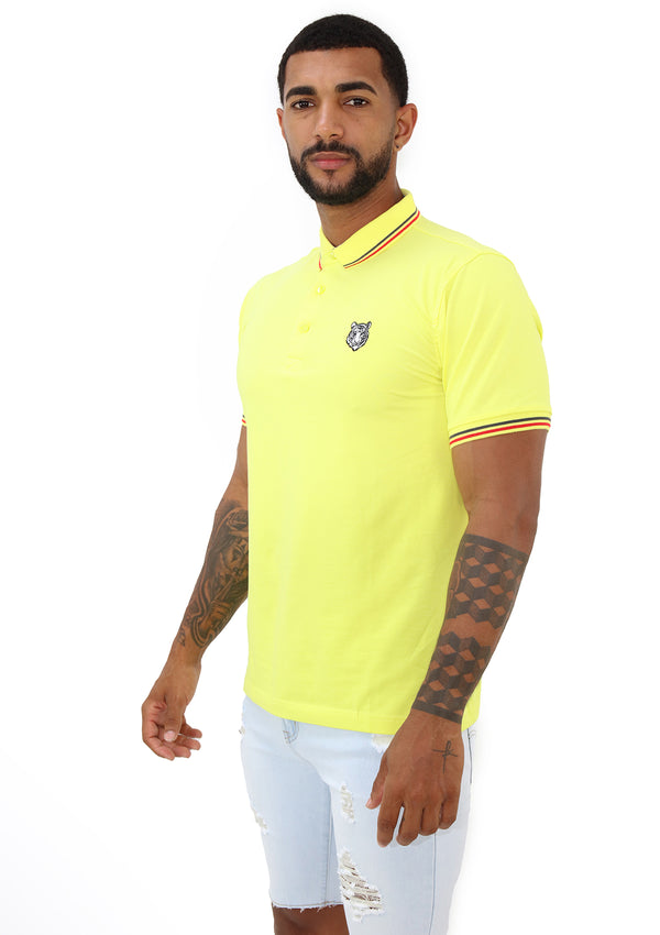 4196 Mens Polo by HN